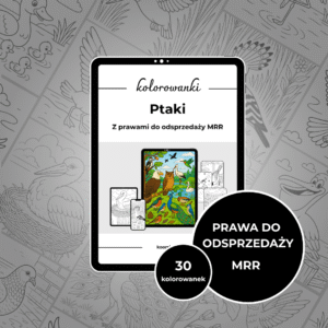 KOLOROWANKA (MRR) - Ptaki