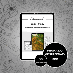 KOLOROWANKA (MRR) - Gady/Płazy
